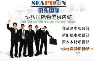 上海機(jī)場(chǎng)港口進(jìn)出口貿(mào)易清關(guān)報(bào)關(guān)代理 一站式解決方案與價(jià)值解析